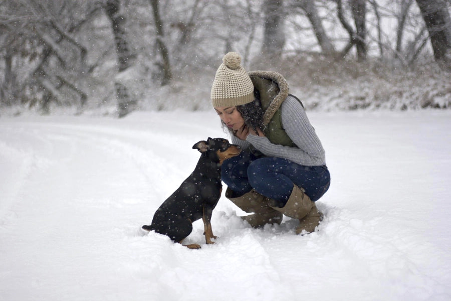 Woman playing with a dog in the snow